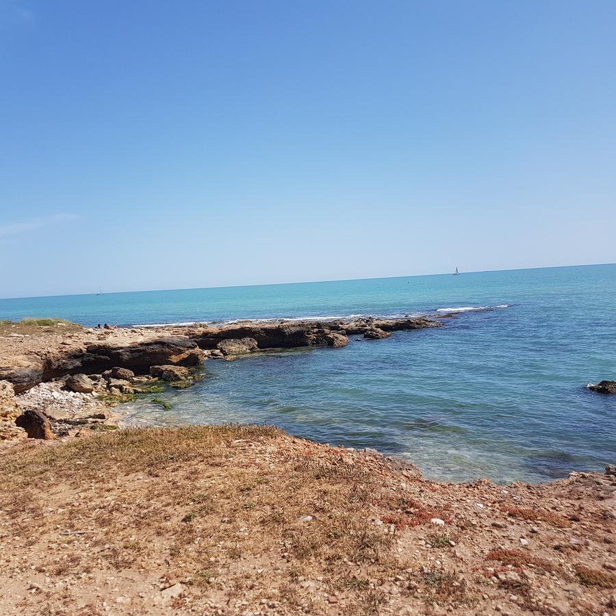 Casa Vacanze Il Giardino Dei Girasoli Marina di Ragusa Buitenkant foto